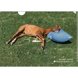 ふるさと納税 平取町 【競馬グッズ】【アドマイヤジャパン×Yogibo】クリアファイル　1セット(5枚入り)