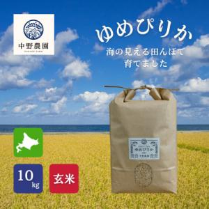 ふるさと納税 島牧村 ゆめぴりか 玄米10kg【2025年産】