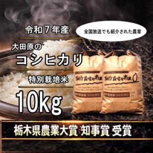 ふるさと納税 大田原市 栃木県大田原産コシヒカリ 白米10kg|特別栽培米|栃木県農業大賞知事賞受賞農家