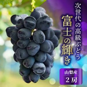 ふるさと納税 山梨市 山梨市産 富士の輝 富士の輝き 大粒で高糖度の黒ぶどう 贈答用2房 化粧箱入り