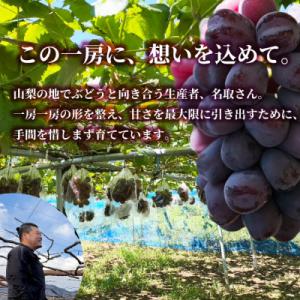ふるさと納税 山梨市 山梨市産 富士の輝 富士...の詳細画像2
