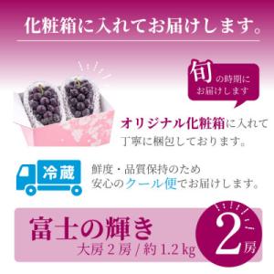 ふるさと納税 山梨市 山梨市産 富士の輝 富士...の詳細画像3
