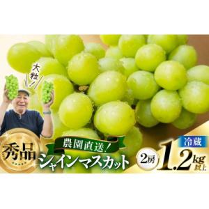 ふるさと納税 高畠町 【期間限定発送】シャインマスカット　秀品1.2kg以上(2房)