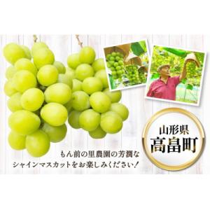 ふるさと納税 高畠町 【期間限定発送】シャイン...の詳細画像2