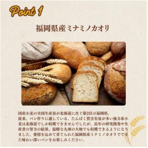 ふるさと納税 福岡市 【福岡市内製造】あなたも...の詳細画像2
