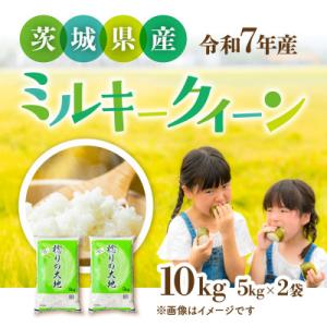 ふるさと納税 茨城町 【令和7年産】茨城県産 ミルキークイーン　精米 10kg (5kg×2袋)