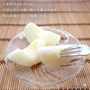 ふるさと納税 つくばみらい市 豊水 梨 3kg...の詳細画像2
