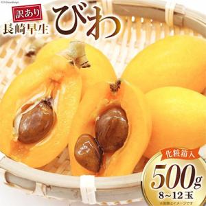 ふるさと納税 島原市 【訳あり】長崎びわ 500g 8玉〜12玉入り(L〜3Lサイズ)　AI208