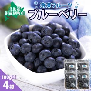 ふるさと納税 洞爺湖町 北海道産 ブルーベリー 100g×4袋