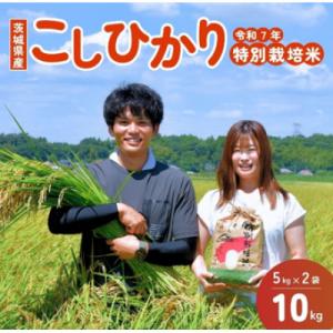 ふるさと納税 龍ケ崎市 【令和7年産】龍ケ崎の特別栽培米コシヒカリ 10kg(5kg×2袋)