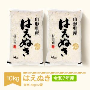 ふるさと納税 村山市 はえぬき　玄米10kg(5kg×2袋)