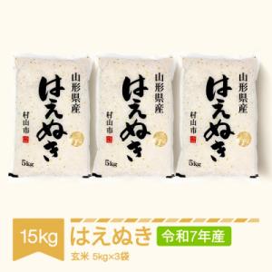 ふるさと納税 村山市 はえぬき　玄米15kg(5kg×3袋)