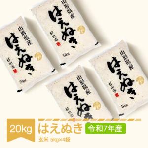 ふるさと納税 村山市 はえぬき　玄米20kg(5kg×4袋)