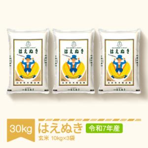 ふるさと納税 村山市 はえぬき　玄米30kg(10kg×3袋)