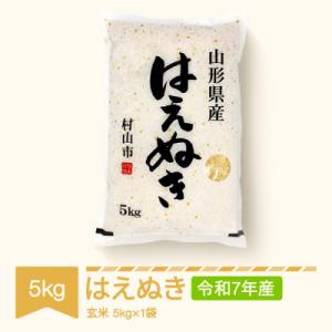 ふるさと納税 村山市 はえぬき　玄米5kg(5kg×1袋)