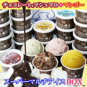ふるさと納税 白石市 【夏季限定】フロム蔵王 チョコレート&amp;マシュマロとアルフォンソマンゴーセット(4種類×6個)24個入