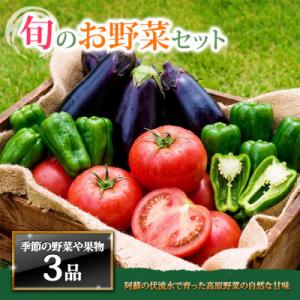 ふるさと納税 阿蘇市 季節のお野菜セットS 旬のお野菜や果物の中から3品を厳選してお届け