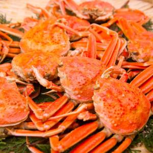 ふるさと納税 森町 【訳あり】浜茹でオオズワイガニ 1.5kg 詰め込みセット 北海道噴火湾産