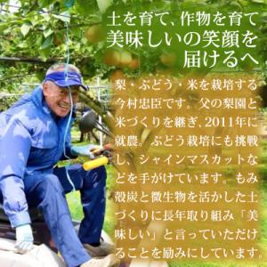ふるさと納税 錦町 【巨峰系の濃厚さ】熊本県産...の詳細画像3