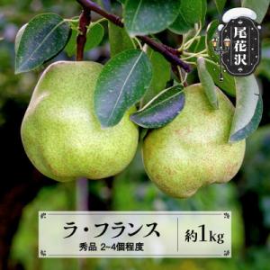 ふるさと納税 尾花沢市 先行予約 ラ・フランス 秀品 約1kg 2026年産 令和8年産 sb-la...