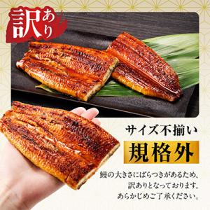 ふるさと納税 泉佐野市 【規格外】うなぎ 暴れ...の詳細画像1