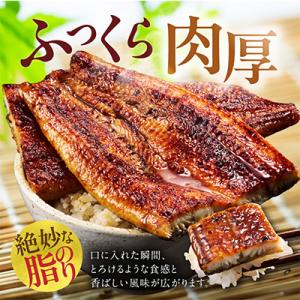 ふるさと納税 泉佐野市 【規格外】うなぎ 暴れ...の詳細画像2