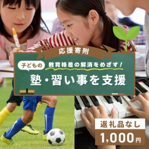 ふるさと納税 泉佐野市 【返礼品なし】教育格差の...の商品画像