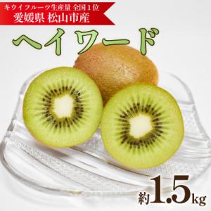 ふるさと納税 松山市 キウイフルーツ ヘイワード 約1.5kg 産地直送