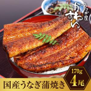 ふるさと納税 有田市 国産うなぎ蒲焼4尾セット(総量680g以上)