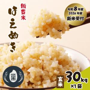 ふるさと納税 飯豊町 【先行予約】飯豊米 はえぬき 玄米 30kg×1袋(令和8年産)