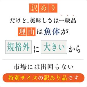 ふるさと納税 銚子市 訳あり 骨取り銀鮭(無塩...の詳細画像3