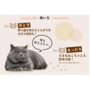 ふるさと納税 常滑市 猫の爪とぎ ブロック大(...の詳細画像2