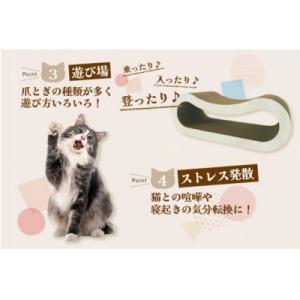 ふるさと納税 常滑市 猫の爪とぎ ブロック大(...の詳細画像3