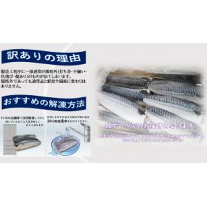 ふるさと納税 銚子市 【訳あり】塩さば(冷凍)...の詳細画像2