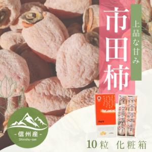 ふるさと納税 長野県 【南信州産】市田柿　個包装・化粧箱　約280g(約28g×10粒入り)