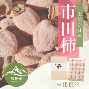 ふるさと納税 長野県 【南信州産】市田柿　贈答用・桐化粧箱　約680g(約34g×20粒入り)