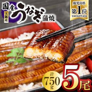 ふるさと納税 鹿屋市 鹿児島県大隅産うなぎ蒲焼5尾(750g) KN007-005-01