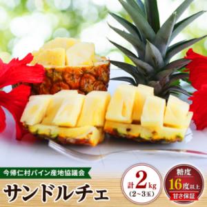 ふるさと納税 今帰仁村 【2027年8月上旬から順次発送】今帰仁村パイン産地協議会 サンドルチェ2....