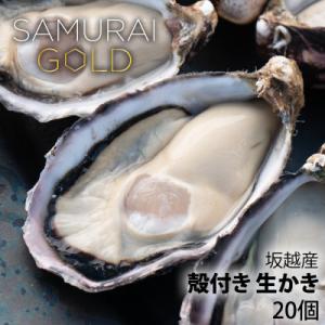 ふるさと納税 赤穂市 サムライゴールド　坂越産　殻付き生牡蠣　20個
