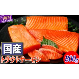 ふるさと納税 白糠町 国産トラウトサーモン【800g】