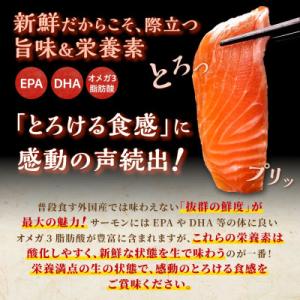 ふるさと納税 白糠町 国産トラウトサーモン【8...の詳細画像2