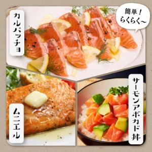 ふるさと納税 白糠町 国産トラウトサーモン【8...の詳細画像3
