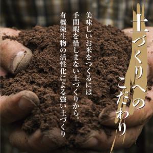ふるさと納税 南魚沼市 【令和7年産】 南魚沼...の詳細画像1