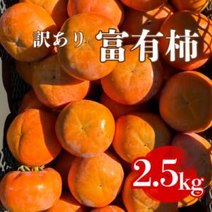 ふるさと納税 瑞穂市 岐阜県瑞穂市産 訳あり富有柿 2.5kg