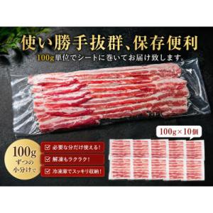 ふるさと納税 吉野ヶ里町 使い勝手抜群!!佐賀...の詳細画像1