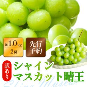 ふるさと納税 倉敷市 訳ありシャインマスカット 晴王 2房 合計1.0kg以上