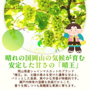 ふるさと納税 倉敷市 訳ありシャインマスカット...の詳細画像1