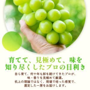 ふるさと納税 倉敷市 訳ありシャインマスカット...の詳細画像2