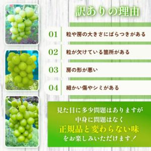 ふるさと納税 倉敷市 訳ありシャインマスカット...の詳細画像3