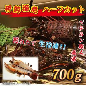 ふるさと納税 大洗町 生冷凍 伊勢海老ハーフカット 700g AP030
